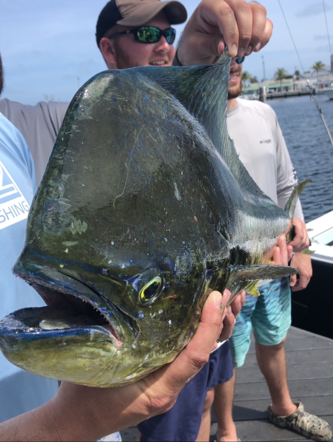 (((BIG))) Mahi Mahi Fishing