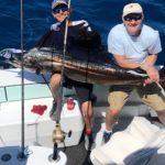 Beautiful Sailfish