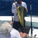 Fifteen Mahi Day