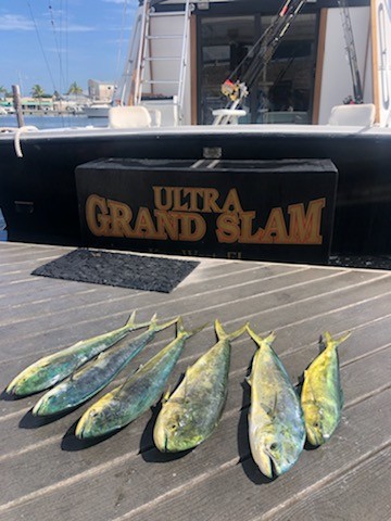 The Ultra Grand Slam